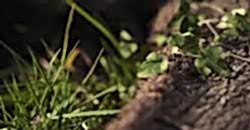 Agromec Ürün Videoları