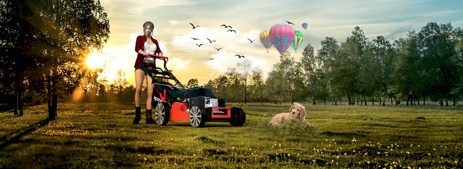 Çim Biçme Makinaları